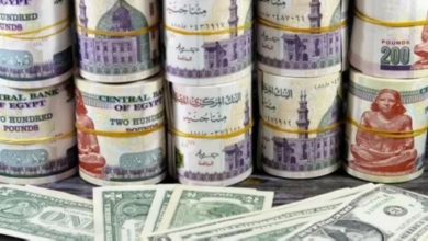 مصر تتسلم مليار يورو من الاتحاد الأوروبي لدعم الموازنة