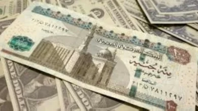 سعر الريال السعودي اليوم في مصر مقابل الجنيه بالبنوك
