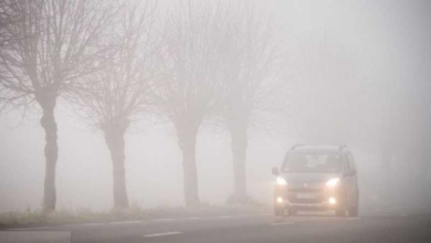 طقس السعودية اليوم: ضباب في عسير وجازان وغبار بالشرقية