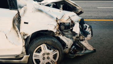 غرامة 50 ألف ريال لقاطعي سياج الطرق وحوادث الحيوانات السائبة