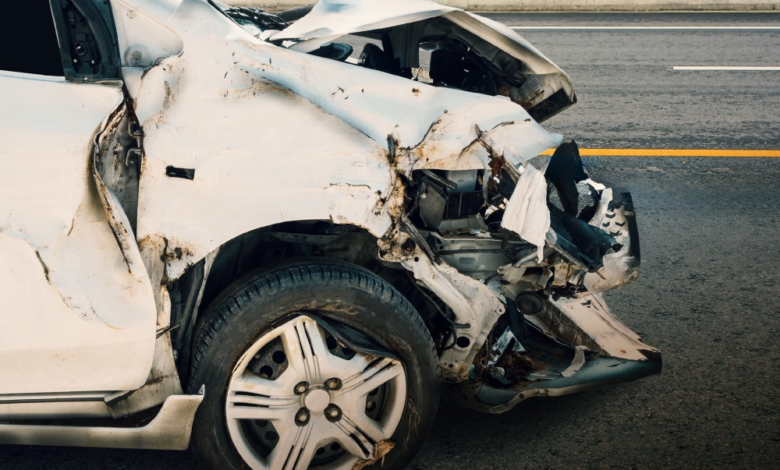 غرامة 50 ألف ريال لقاطعي سياج الطرق وحوادث الحيوانات السائبة