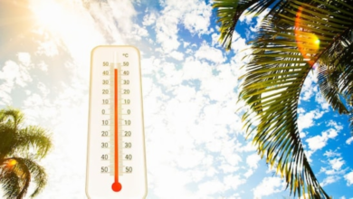 حالة الطقس في السعودية اليوم: درجات الحرارة والظواهر المتوقعة