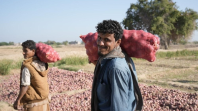 مشاريع البرنامج السعودي لتنمية وإعمار اليمن في أبين