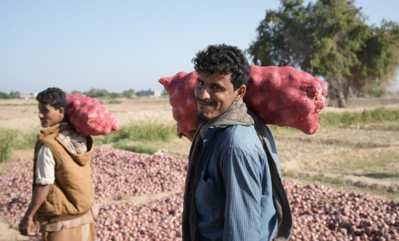 Projects of the Saudi Program for the Development and Reconstruction of Yemen in Abyan