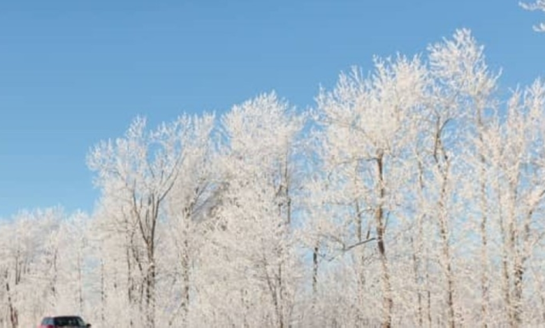 موجة برد تضرب كوريا الجنوبية: حرارة تحت الصفر وثلوج كثيفة