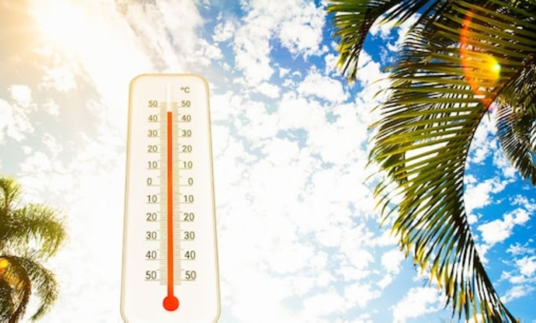 حالة الطقس في السعودية: درجات الحرارة وأماكن الغبار والضباب