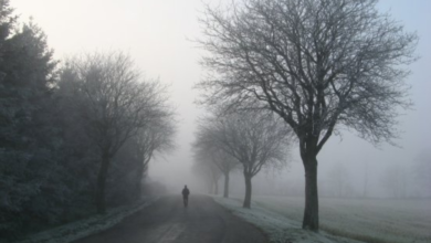 درجات الحرارة اليوم في السعودية: الدمام 17 ومكة 31 مئوية