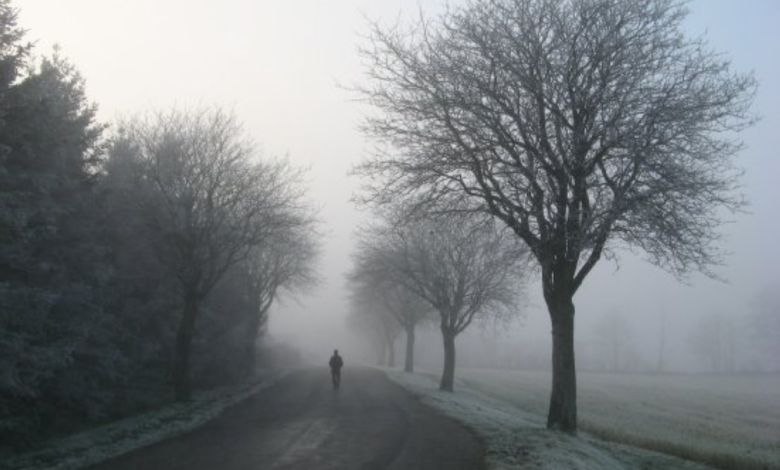 Today's temperatures in Saudi Arabia: Dammam 17°C and Mecca 31°C