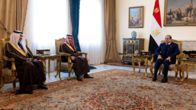 Sisi receives Saudi Foreign Minister to discuss regional developments