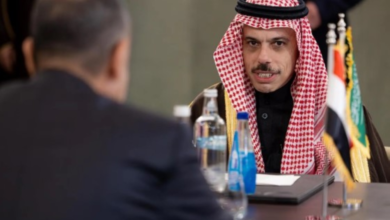 Talks between the Saudi and Egyptian foreign ministers regarding Gaza and the region