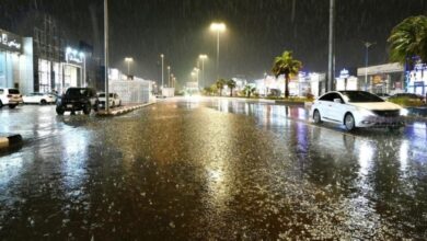 توقعات طقس السعودية 2026: أمطار وحرارة الربع الأول بالتفصيل