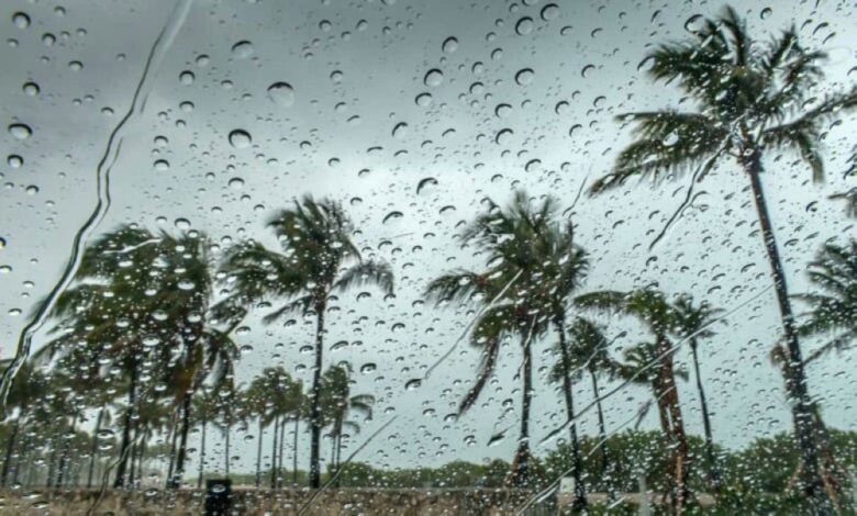 Saudi Arabia's weather today, Tuesday: Rain, wind, and dust storms