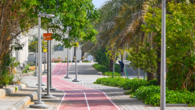 بلدية الظهران: زراعة 111 ألف زهرة وصيانة 4 آلاف شجرة