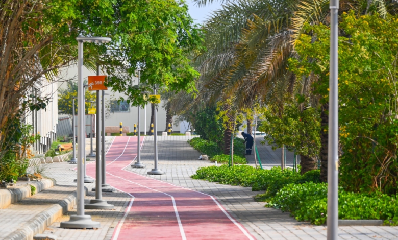 بلدية الظهران: زراعة 111 ألف زهرة وصيانة 4 آلاف شجرة