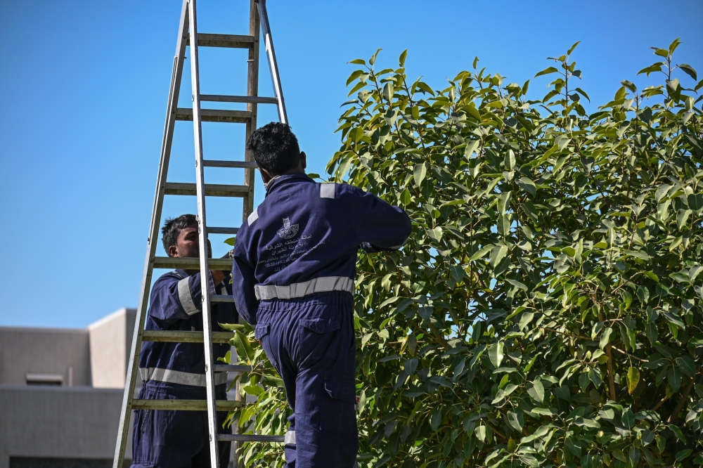 تنسيق الحدائق في الظهران