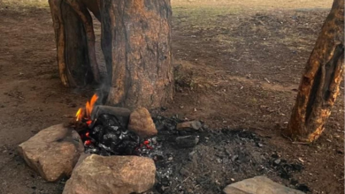 ضبط مخالف لإشعال النار بمحمية الإمام فيصل بن تركي وعقوبة 3000 ريال