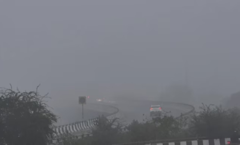 Weather conditions: Dense fog and reduced visibility in 5 Saudi regions