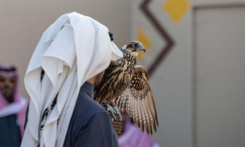 Results of the King Abdulaziz Falconry Cups 2025, Local Category