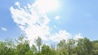 حالة الطقس اليوم الأربعاء: أمطار رعدية وضباب في السعودية