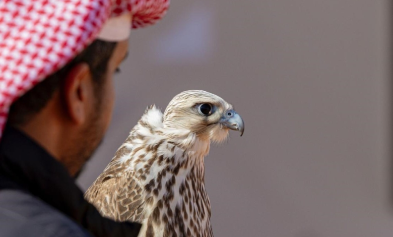 نتائج مزاين الصقور في مهرجان الملك عبدالعزيز 2025 - اليوم الثاني