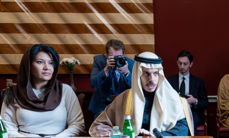 وزير الخارجية يبحث ملفات المنطقة مع لجنة الشؤون الخارجية بالكونجرس