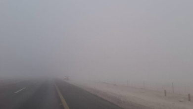 الأرصاد تحذر: ضباب كثيف وتدني الرؤية في 5 مناطق بالسعودية