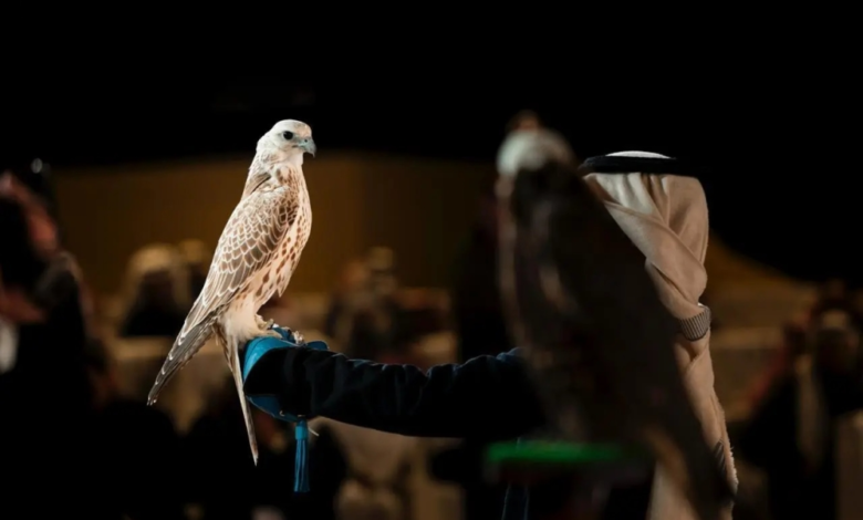 نتائج مزاين الصقور في مهرجان الملك عبدالعزيز 2025