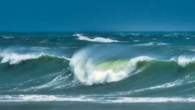 حالة الطقس اليوم في السعودية: استقرار وضباب بـ 5 مناطق