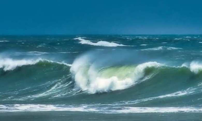 حالة الطقس اليوم في السعودية: استقرار وضباب بـ 5 مناطق