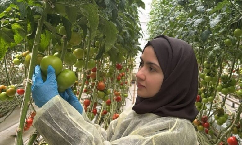 فاطمة عبدالحكيم: ابتكار سعودي يعزز مناعة النبات والأمن الغذائي