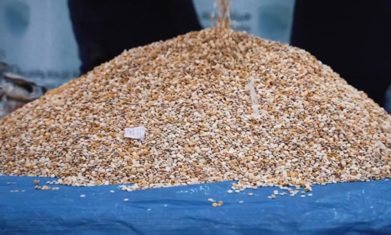 إحباط تهريب 4.7 ملايين حبة كبتاجون بميناء جدة الإسلامي