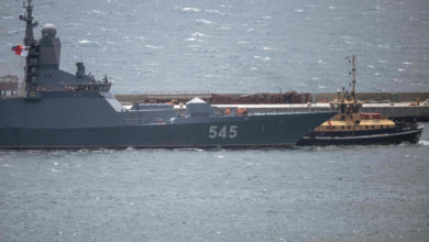 BRICS Plus maneuvers in South Africa: Russia, China, and Iran