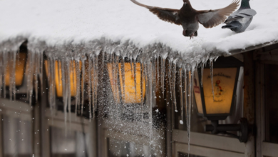 Storms in Northern Europe: Transport paralyzed and power outages reported