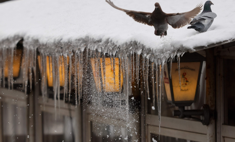 عواصف شمال أوروبا: شلل في النقل وانقطاع الكهرباء