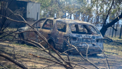 Australian bushfires: State of disaster declared in Victoria, fears of worse to come