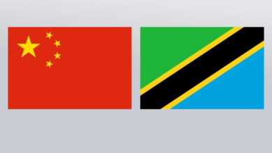 China and Tanzania: Beijing rejects foreign interference and supports sovereignty