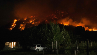 Argentina forest fires: 3,000 tourists evacuated, widespread destruction in Patagonia