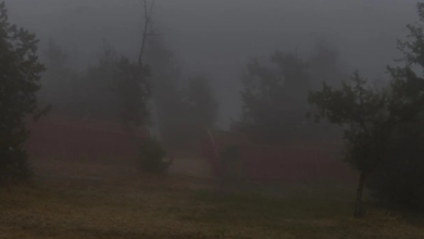 تنبيهات الأرصاد: ضباب كثيف يغطي 5 مناطق سعودية اليوم