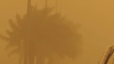 حالة الطقس اليوم: رياح وأتربة على 11 منطقة وتحذيرات للأرصاد