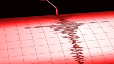 A 4.8 magnitude earthquake struck eastern Russia in Kamchatka, causing no casualties