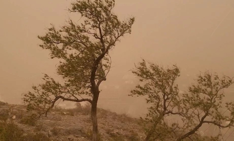 Saudi Arabia weather today: Dust and strong winds in Riyadh and the Eastern Province