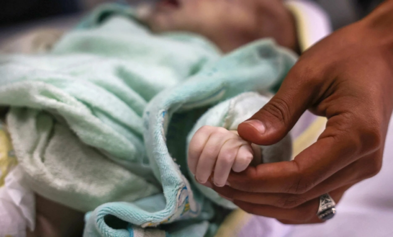 Birth statistics in Saudi Arabia: 1480 births daily, with Riyadh leading the way