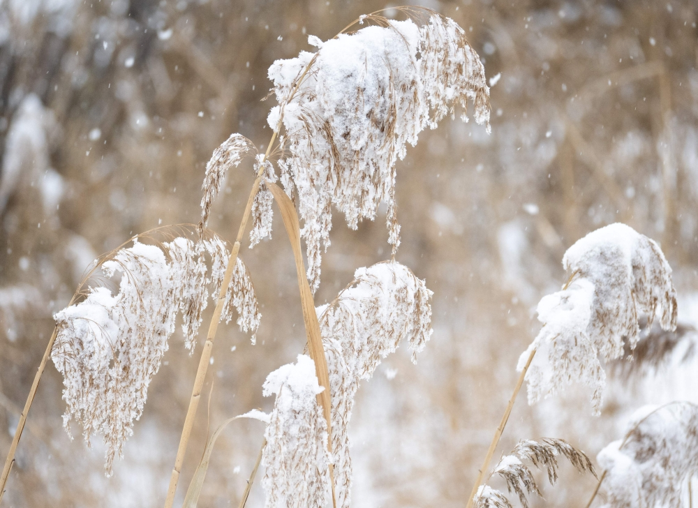 الأمطار المتجمدة تعطّل حركة النقل والرحلات الجوية في وسط أوروبا - أ ف ب