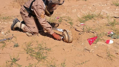 مشروع مسام ينزع 1181 لغماً في اليمن خلال أسبوع واحد