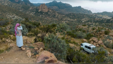 غرامات الهيئة الملكية للعُلا لحماية الغطاء النباتي 2024