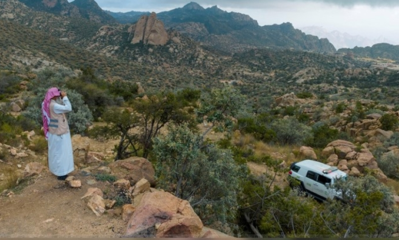 Royal Commission for AlUla fines for protecting vegetation cover 2024