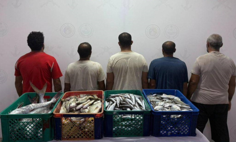 حرس الحدود يضبط 5 مخالفين للصيد بالقنفذة في مكة المكرمة