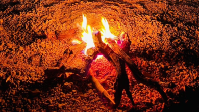 ضبط مخالفات بيئية بالرياض: تعرف على عقوبات الرعي ودخول المحميات