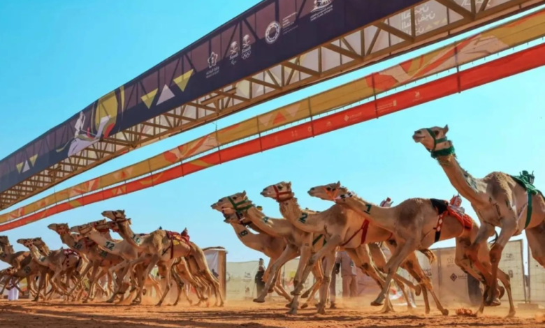 مهرجان خادم الحرمين للهجن 2026: الموعد والجوائز والتفاصيل