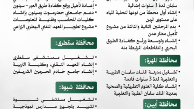 وزير الدفاع السعودي يبحث حل الأزمة اليمنية مع مجلس القيادة